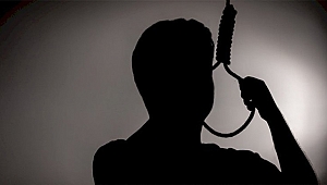 TANINMIŞ CELEP MİNİK KUŞ İNTİHAR ETTİ!