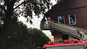 VATANDAŞ WHATSAPP'TAN GÖNDERİYOR, BİGA BELEDİYESİ ÇÖZÜYOR