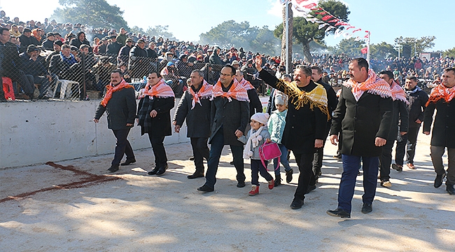 BAYRAMİÇ BELEDİYESİ'NDEN UNUTULMAZ DEVE GÜREŞİ FESTİVALİ