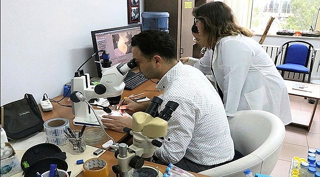 GÖKÇEADA'DA KEŞFEDİLEN TÜRLER DÜNYA LİTERATÜRÜNE GİRDİ