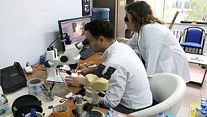 GÖKÇEADA'DA KEŞFEDİLEN TÜRLER DÜNYA LİTERATÜRÜNE GİRDİ