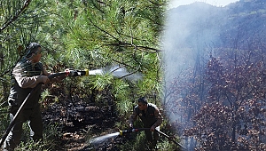 YENİCE'DE ÖRTÜ YANGINI!