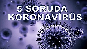 5 SORUDA KORONOVİRÜS
