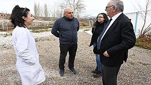 BAŞKAN GÖKHAN GÖKHAN GÜNEŞ ENERJİ SANTRALİNDE İNCELEMELERDE BULUNDU