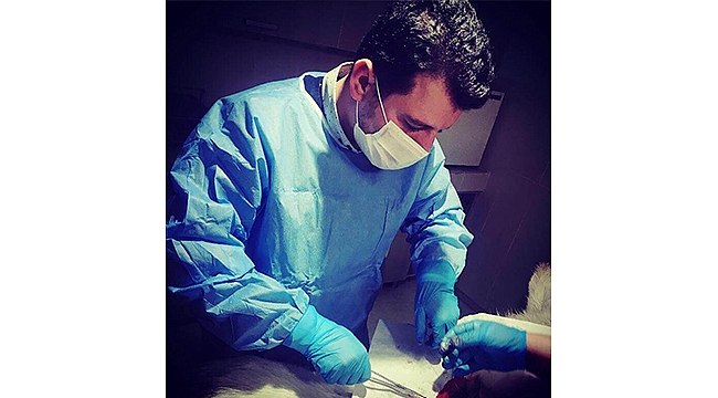 CAN DOSTLARIMIZIN KISIRLAŞTIRMA İŞLEMLERİ HIZ KESMEDEN DEVAM EDİYOR