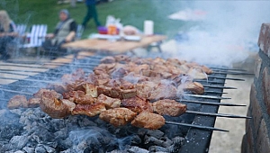 KORONAVİRÜS NEDENİYLE MANGAL VE PİKNİK YAPILMASI YASAKLANDI!