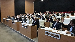 MECLİSLERE 3 AY ERTELEME KARARI GELDİ!