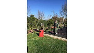 SALGIN HASTALIK RİSKİNE KARŞI PARK VE YEŞİL ALANLAR DA DEZENFEKTE EDİLİYOR