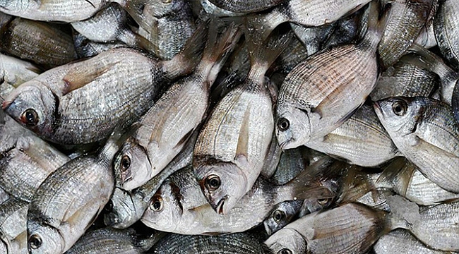 3 GÜN BOYUNCA MALİYETİNE SATILACAK!