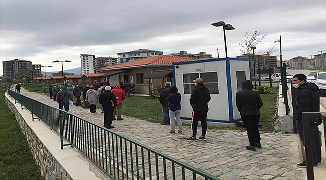 ATALIK VE YERLİ TOHUMLARDAN ÜRETİLEN FİDELER KENTLİLER İLE BULUŞMAYA DEVAM EDİYOR