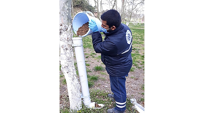BİGA BELEDİYESİ'NDEN SOKAK HAYVANLARINA BESLEME ODAKLARI