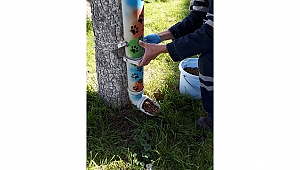 BİGA'DA SOKAK HAYVANLARI YALNIZ DEĞİL