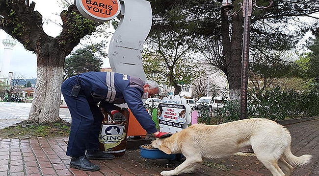 ÇAN BELEDİYESİ SOKAK HAYVANLARINI UNUTMUYOR