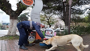 ÇAN BELEDİYESİ SOKAK HAYVANLARINI UNUTMUYOR