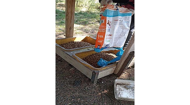 CAN DOSTLARIMIZIN BESLENME İHTİYAÇLARI KARŞILANMAYA DEVAM EDİYOR