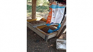 CAN DOSTLARIMIZIN BESLENME İHTİYAÇLARI KARŞILANMAYA DEVAM EDİYOR