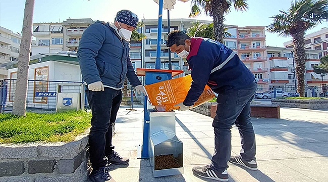 CAN DOSTLARIN BESLENME İHTİYAÇLARI DÜZENLİ OLARAK KARŞILANIYOR