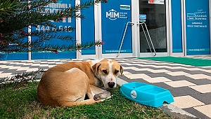 LİMAK ENERJİ'DEN İÇ ISITAN PROJE