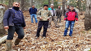 TURAN; "ÇANAKKALE'MİZDE KESTANE ÜRETİMİNİ ARTTIRACAĞIZ"