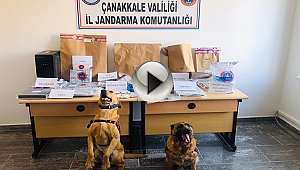 11 SUÇ ÖRGÜTÜ ÜYESİ TUTUKLANDI!