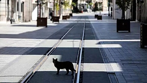 16-19 MAYIS TARİHLERI ARASINDA SOKAĞA ÇIKMA YASAĞI