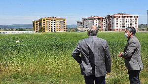 BAŞKAN GÖKHAN, KARAKILÇIK BUĞDAY ALANLARINI İNCELEDİ