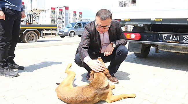 BİR KAMYON DOLUSU MAMA