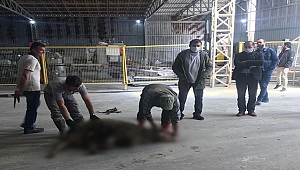 PERA SERAMİK ÜRETİME BAŞLADI