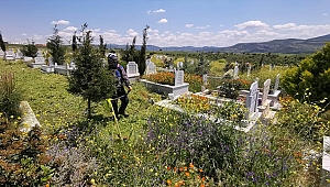 MEZARLIKLARDA TEMİZLİK ÇALIŞMALARI DEVAM EDİYOR