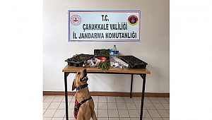 ROKET YİNE İŞ BAŞINDA!