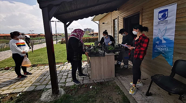 YEREL TOHUMLARDAN ÜRETİLEN FİDELERE KENTLİLERDEN BÜYÜK İLGİ