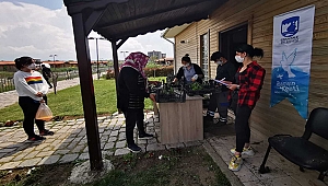 YEREL TOHUMLARDAN ÜRETİLEN FİDELERE KENTLİLERDEN BÜYÜK İLGİ