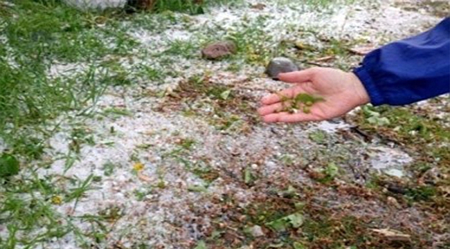 10 BİN DÖNÜM ARAZİ ZARAR GÖRDÜ!