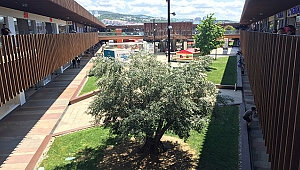 17 BURDA AVM MİSAFİRLERİYLE YENİDEN BULUŞTU