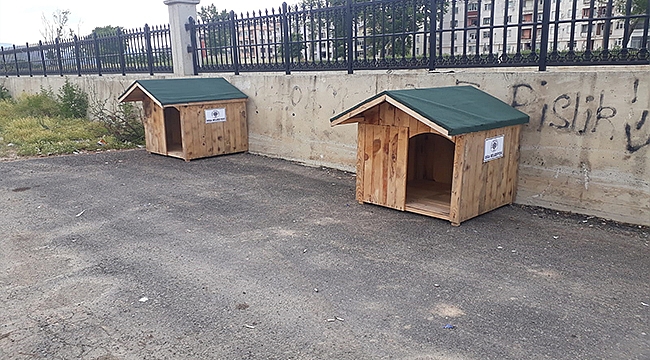 BİGA BELEDİYESİ SOKAK HAYVANLARINA ÇATI OLUYOR