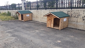 BİGA BELEDİYESİ SOKAK HAYVANLARINA ÇATI OLUYOR