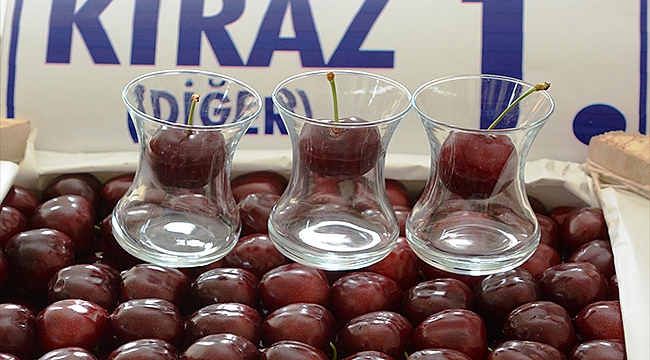 "BU YIL SADECE KİRAZ YARIŞMASI DÜZENLENECEK"