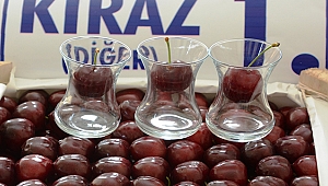 "BU YIL SADECE KİRAZ YARIŞMASI DÜZENLENECEK"