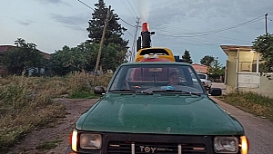 ÇELTİK SAHALARINDA SİVRİSİNEK MÜCADELESİ