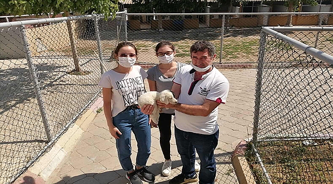 CAN DOSTLARA YÖNELİK ÇALIŞMALAR HIZ KESMEDEN DEVAM EDİYOR