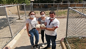 CAN DOSTLARA YÖNELİK ÇALIŞMALAR HIZ KESMEDEN DEVAM EDİYOR