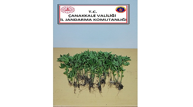 "FOTO KAPAN" SAYESİNDE UYUŞTURUCU TACİRİ YAKALANDI!