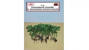 "FOTO KAPAN" SAYESİNDE UYUŞTURUCU TACİRİ YAKALANDI!