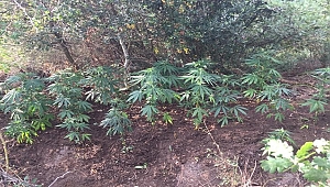 GELİBOLU'DA UYUŞTURUCUYA GEÇİT YOK!