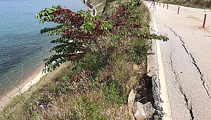 GELİBOLU YARIMADASI TARİHİ ALANI'NDAKİ ANZAK KOYU'NDA HEYELAN!