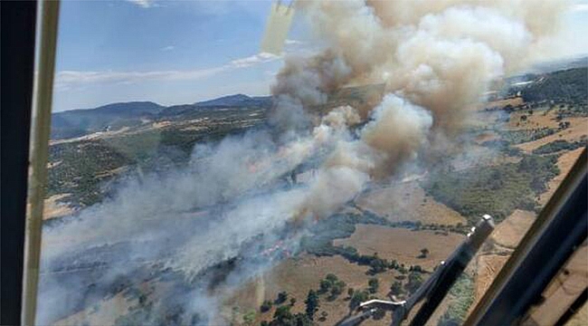İKİ İLÇEDE ORMAN YANGINI ÇIKTI!