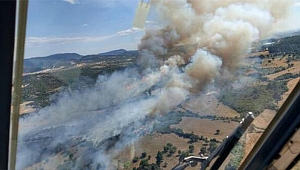 İKİ İLÇEDE ORMAN YANGINI ÇIKTI!