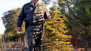 ORMAN İŞÇİSİ ALINACAK İŞTE TARİH VE ŞARTLAR!