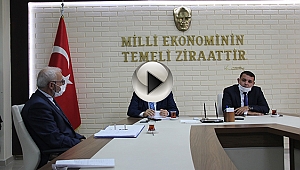 TESCİL TAMAMLANDI SIRA PAZARLAMA VE TANITIMDA