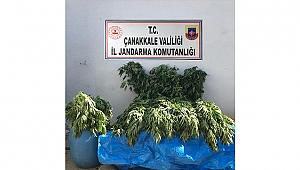 UYUŞTURUCU OPERASYONUNDA 2 KİŞİ TUTUKLANDI!